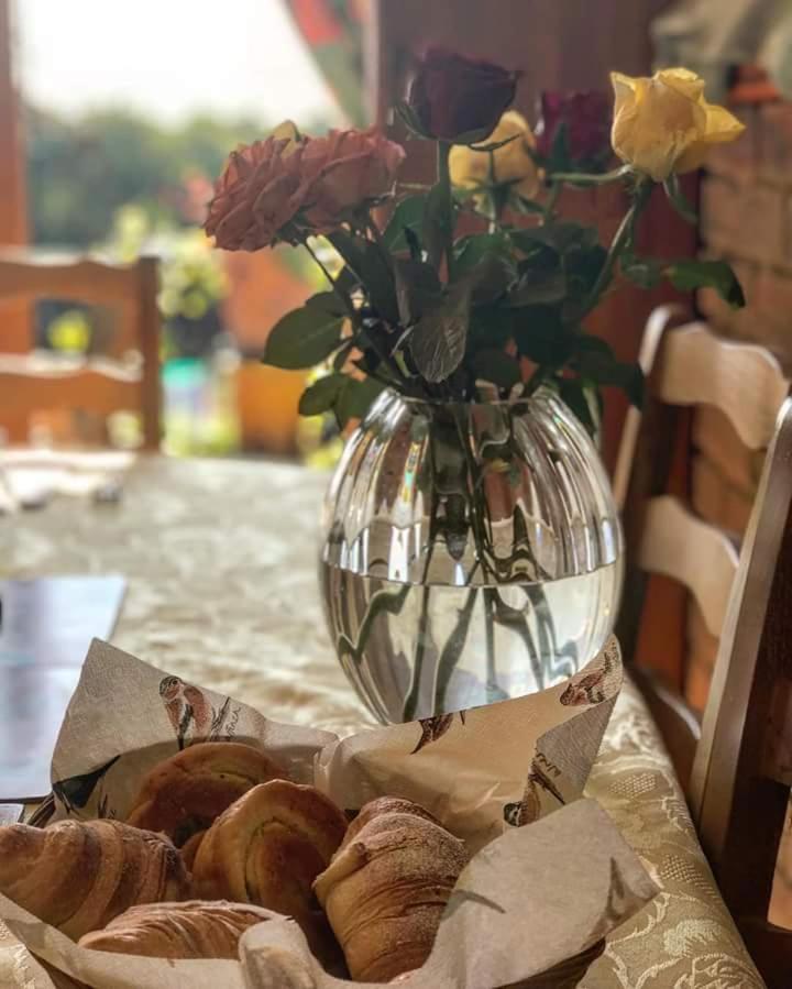 Woodpeckers Cottage B&B Pett Extérieur photo