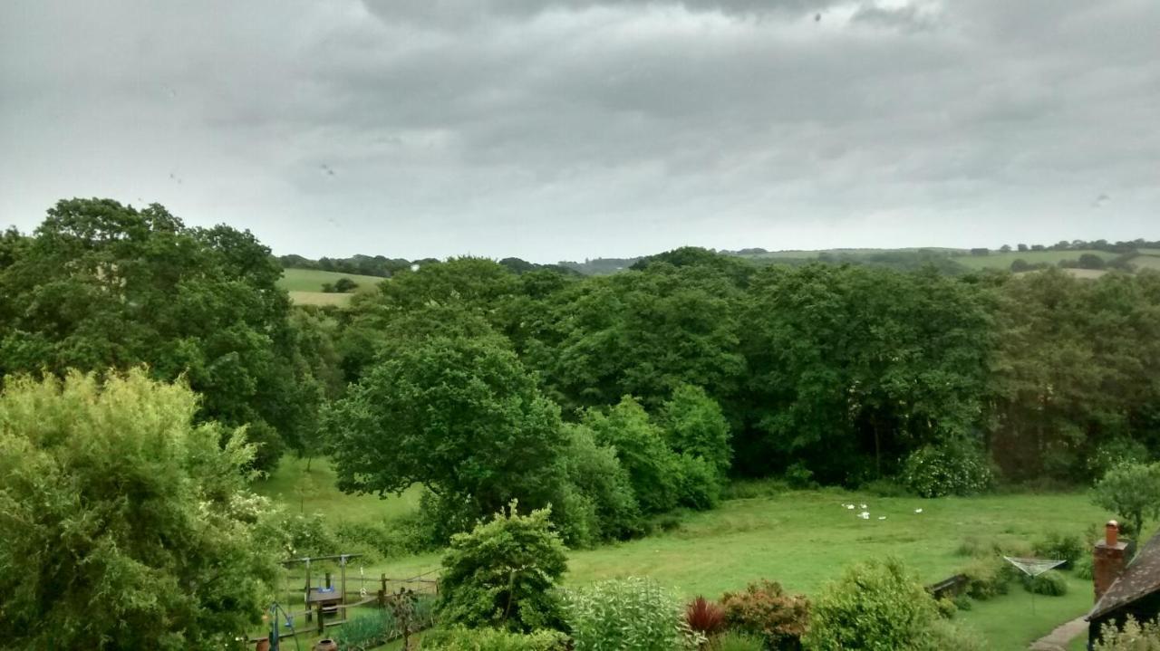 Woodpeckers Cottage B&B Pett Extérieur photo