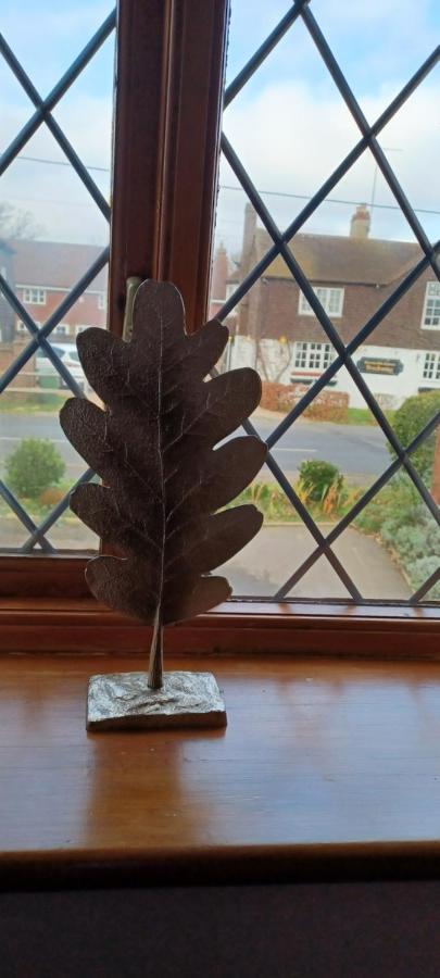Woodpeckers Cottage B&B Pett Extérieur photo